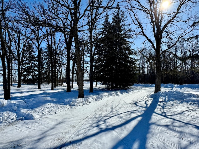 view of snowy yard