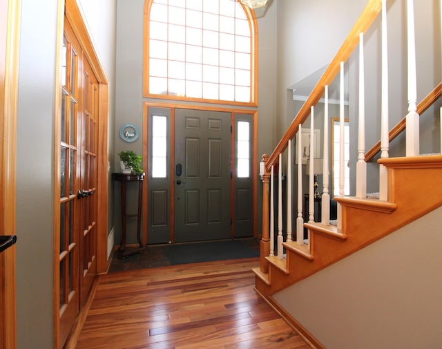 foyer featuring dark wood-type flooring and a high ceiling