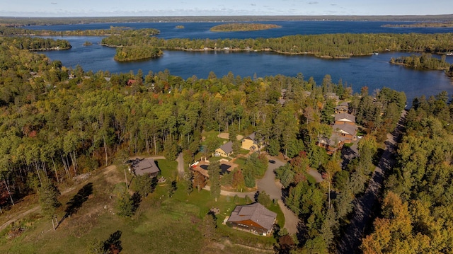 drone / aerial view with a water view and a view of trees