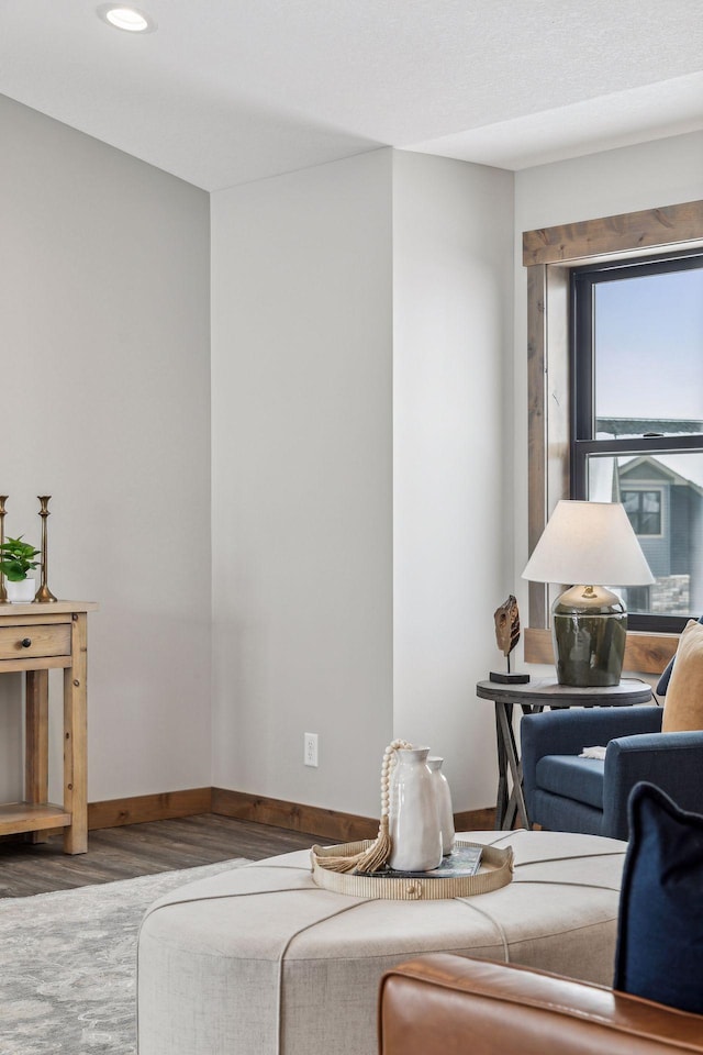 living room with hardwood / wood-style flooring