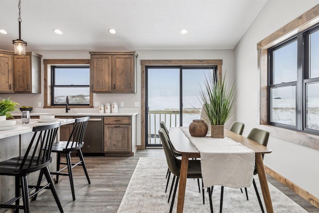 dining room featuring sink and dark hardwood / wood-style floors