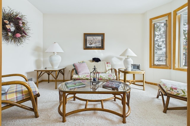 living area featuring carpet floors and baseboards