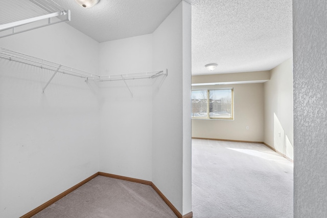 spacious closet featuring light carpet