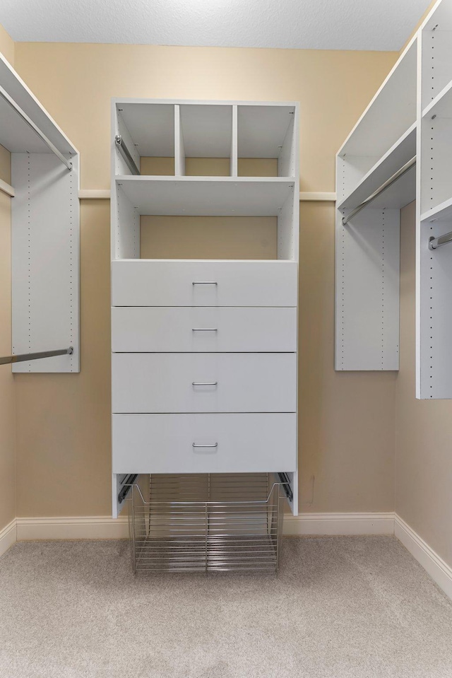 walk in closet featuring carpet flooring