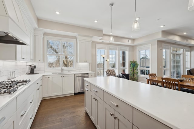 kitchen with dark wood-type flooring, a sink, stainless steel appliances, premium range hood, and backsplash