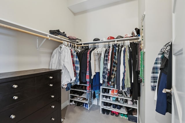 walk in closet with carpet flooring