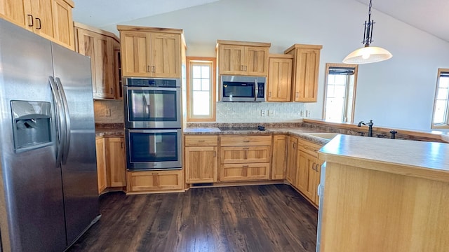 kitchen with lofted ceiling, appliances with stainless steel finishes, and a wealth of natural light