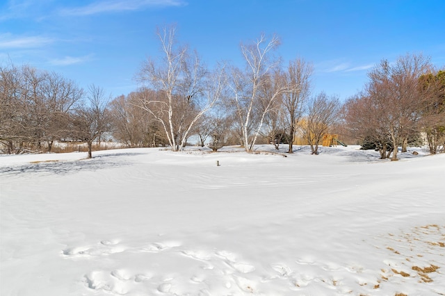 view of yard covered in snow