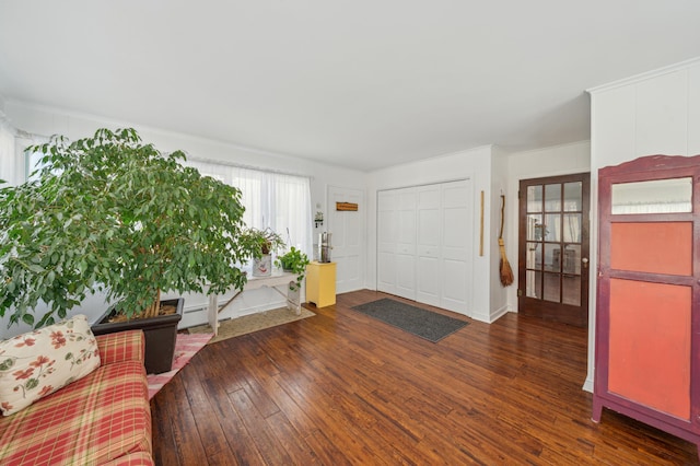 foyer featuring dark wood-type flooring