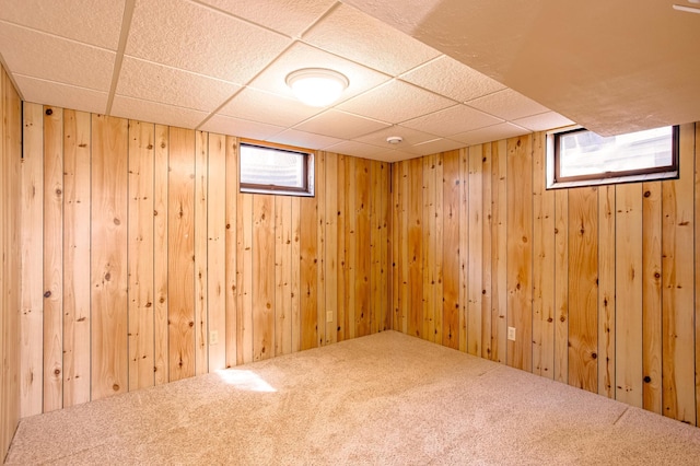 basement featuring a wealth of natural light, wood walls, and carpet