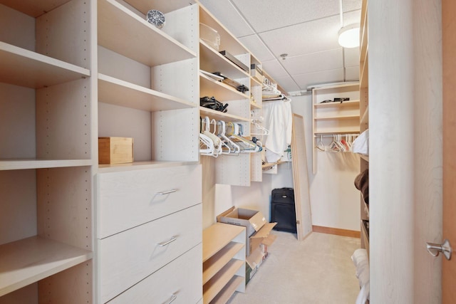 walk in closet featuring light carpet and a drop ceiling