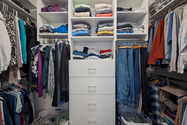 view of walk in closet