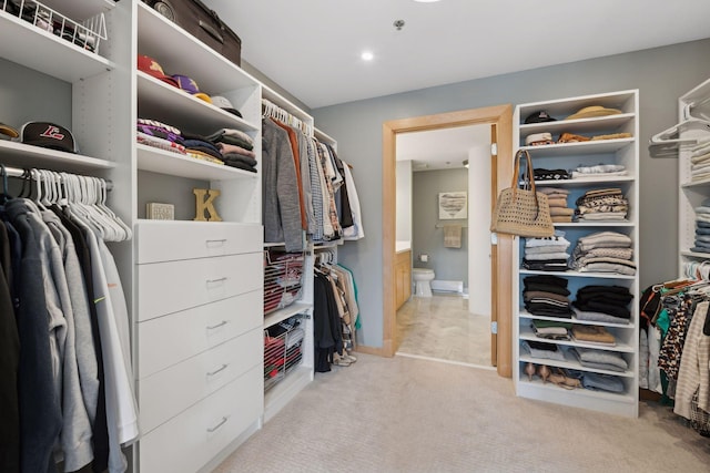 spacious closet with light carpet