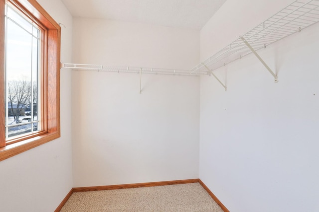 walk in closet with light carpet