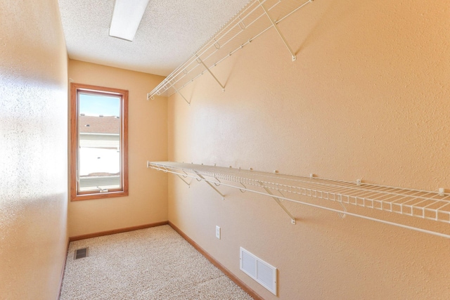 walk in closet featuring carpet and visible vents