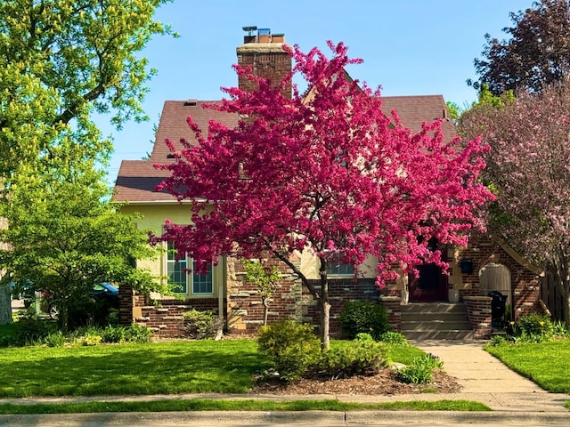 obstructed view of property featuring a front yard, brick siding, and stucco siding