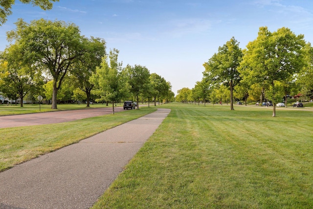 view of community with a yard