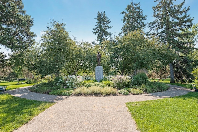 view of community featuring a yard