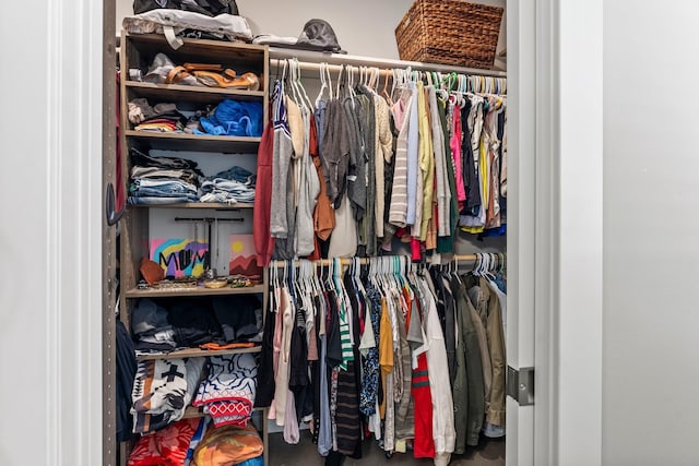 view of spacious closet