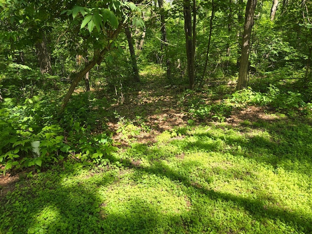 4570 Pine Point Dr NW, Turtle Lake Twp, MN 56484 - photo 9
