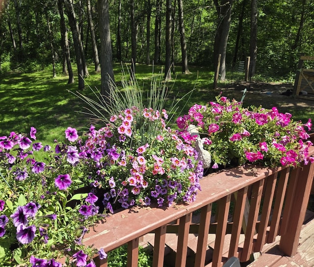 4570 Pine Point Dr NW, Turtle Lake Twp, MN 56484 - photo 10