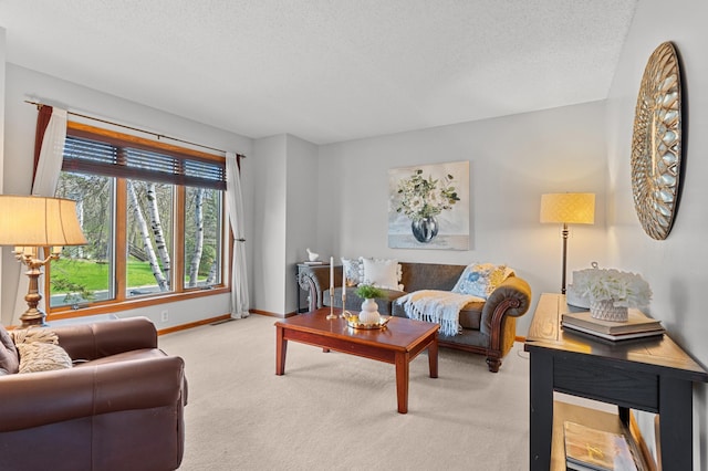 carpeted living area with baseboards and a textured ceiling