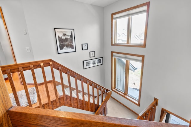 stairway featuring plenty of natural light, baseboards, and carpet floors