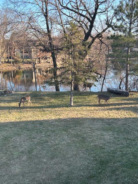 view of community with a water view and a yard