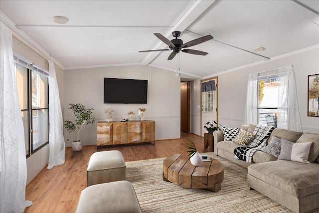 living area with vaulted ceiling with beams, light wood-style floors, ceiling fan, and crown molding