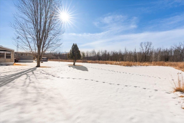 view of yard covered in snow