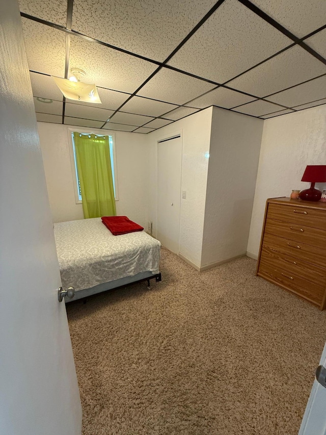 carpeted bedroom featuring a drop ceiling