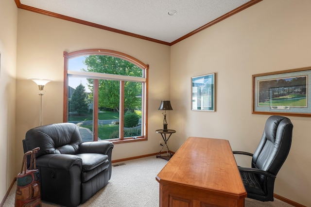 11879 Flanders Cir NE, Blaine, MN 55449 - photo 12