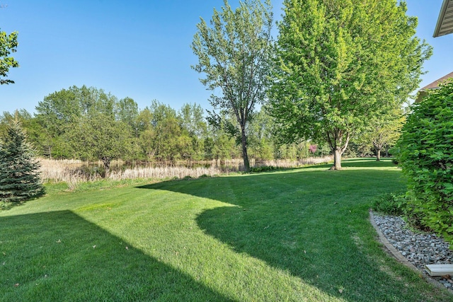 11879 Flanders Cir NE, Blaine, MN 55449 - photo 64