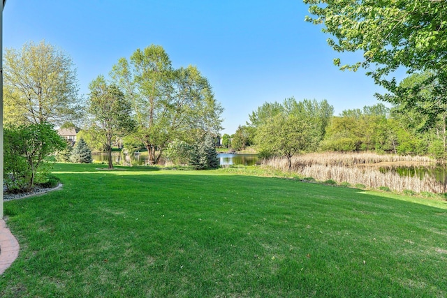 11879 Flanders Cir NE, Blaine, MN 55449 - photo 66