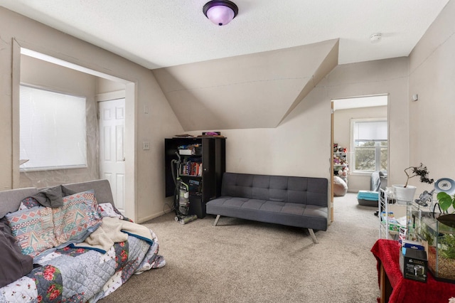 carpeted living room with lofted ceiling and a textured ceiling