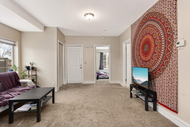 sitting room featuring baseboards and carpet flooring