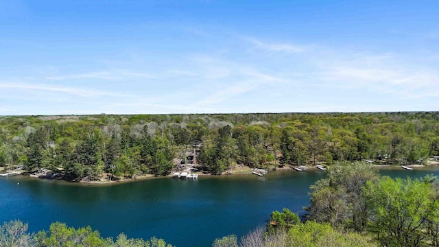 bird's eye view of a forest and a nearby body of water