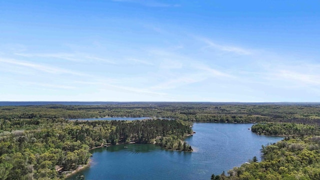 aerial view of a forest and a nearby body of water