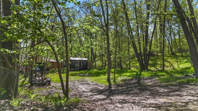 view of yard featuring an outbuilding and a storage unit