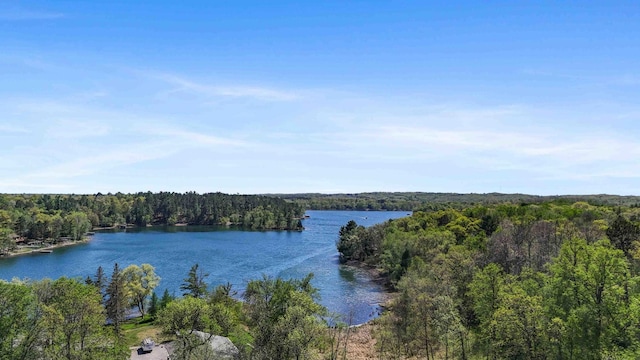 water view featuring a forest