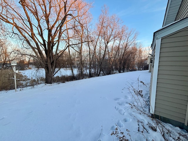 view of snowy yard