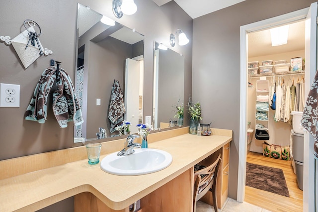 bathroom featuring wood finished floors and vanity