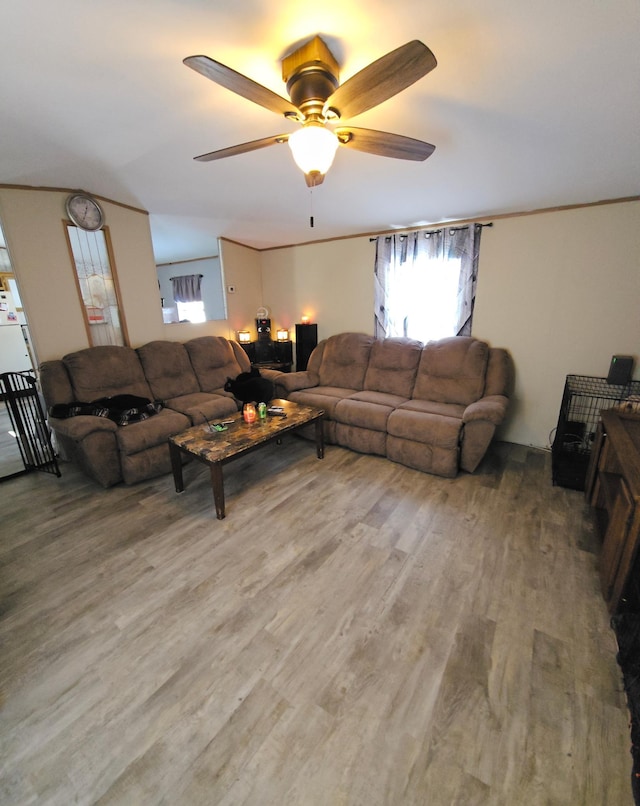 living area featuring a ceiling fan and wood finished floors