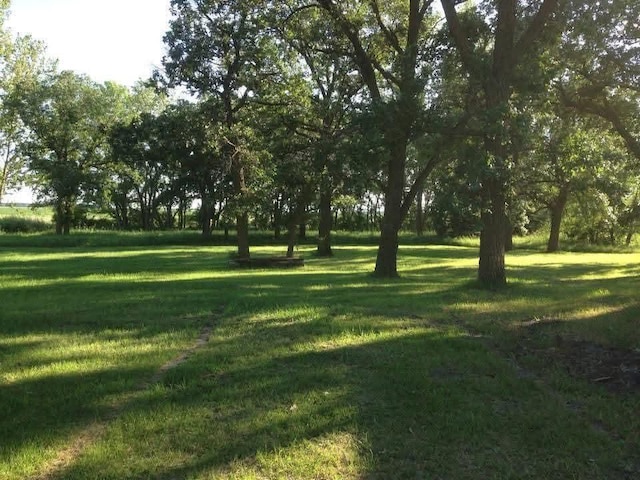 view of community with a yard