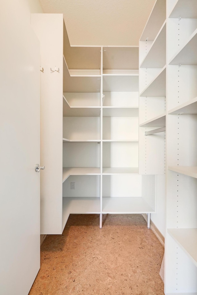 500 Grant St Unit 1302, Minneapolis, MN 55404 - walk in closet with carpet flooring
