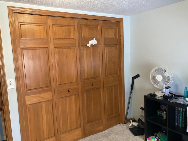 room details with carpet floors and a textured ceiling