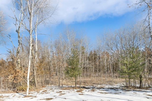 view of snow covered land