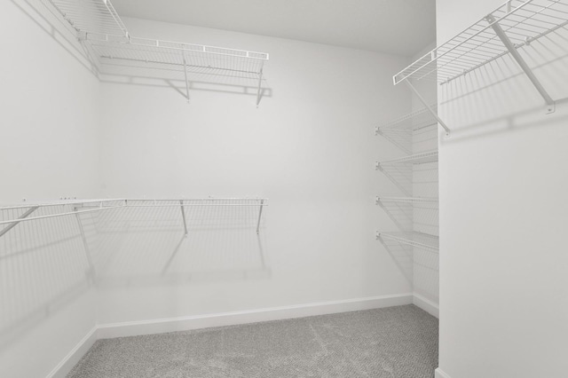 spacious closet with carpet