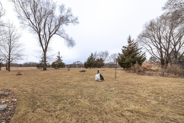 view of yard featuring a rural view