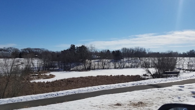 view of yard layered in snow